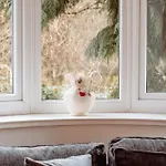 Апартаменты Spacious Flat With Free Parking Харрогейт